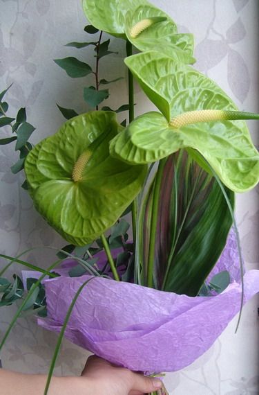 3 stems of anthuriums in a tall arrangement